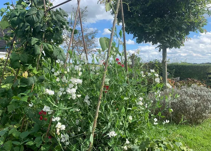 Natuurhuisje Gouderak