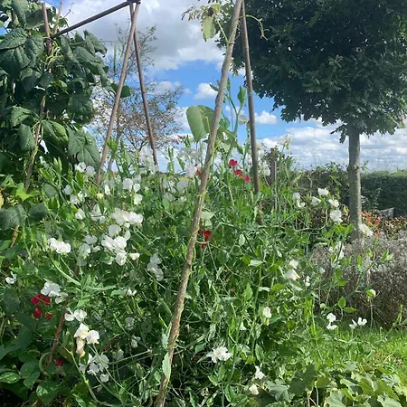 Natuurhuisje Gouderak